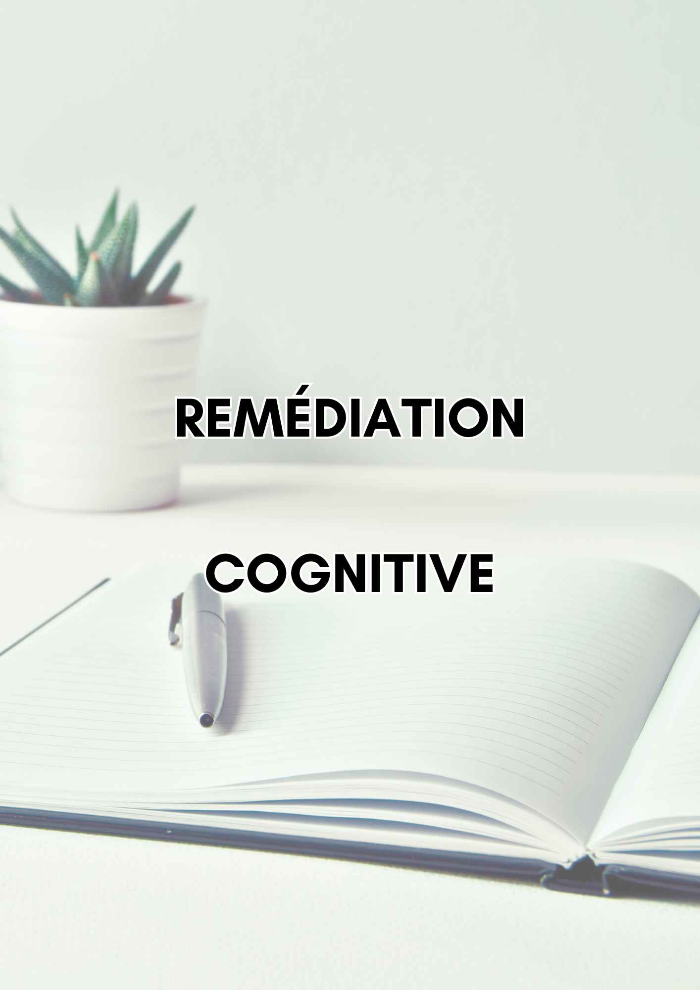 remédiation cognitive